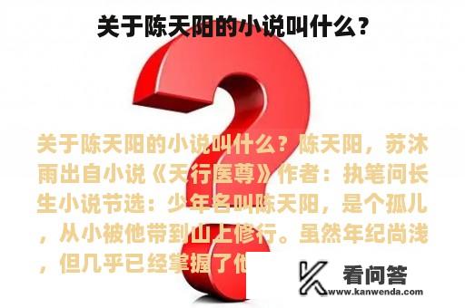 关于陈天阳的小说叫什么？