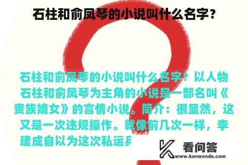 石柱和俞凤琴的小说叫什么名字？