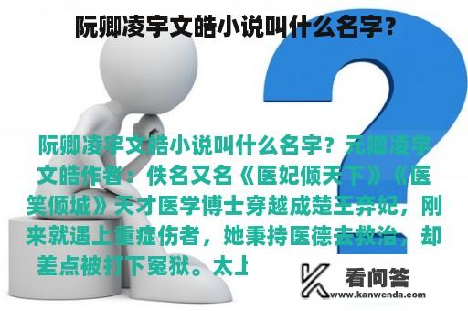 阮卿凌宇文皓小说叫什么名字？