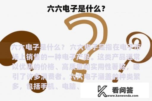 六六电子是什么？