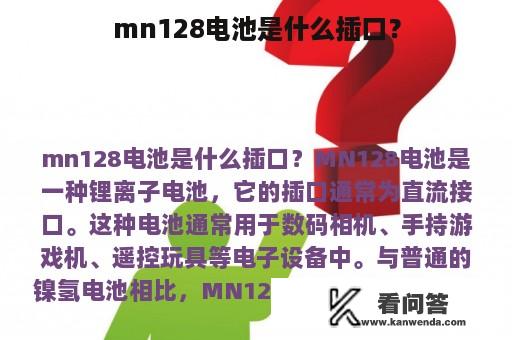 mn128电池是什么插口？
