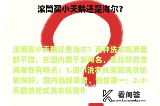 滚筒买小天鹅还是海尔？