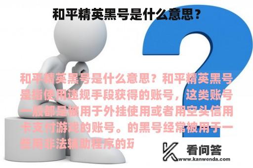 和平精英黑号是什么意思？