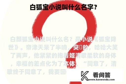 白狐宝小说叫什么名字？