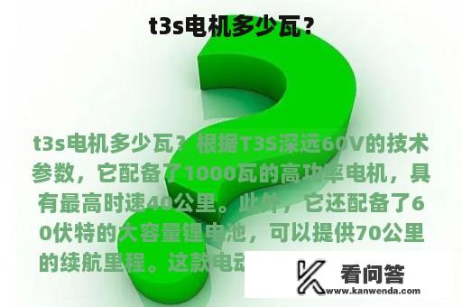 t3s电机多少瓦？