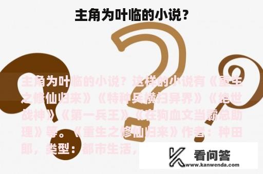 主角为叶临的小说？