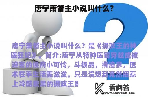 唐宁萧督主小说叫什么？