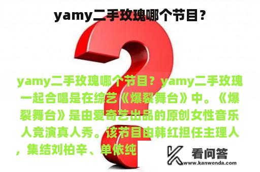 yamy二手玫瑰哪个节目？