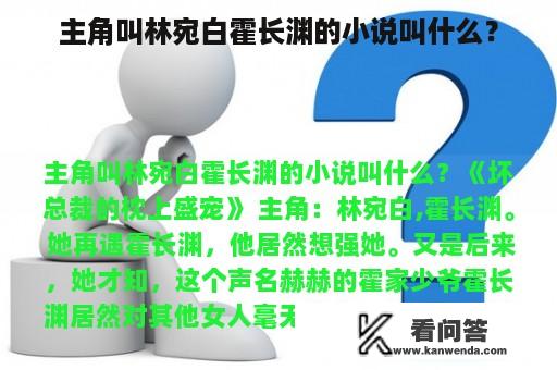 主角叫林宛白霍长渊的小说叫什么？