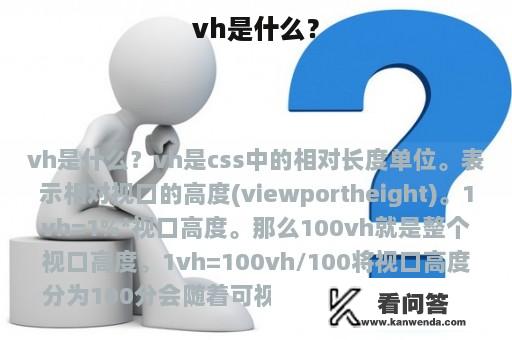 vh是什么？