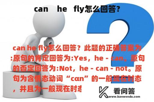 can    he   fly怎么回答？