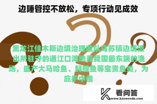 边陲管控不放松，专项行动见成效