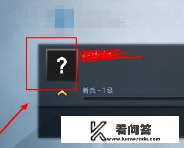 csgo完美平台游戏如何显示人物头像？