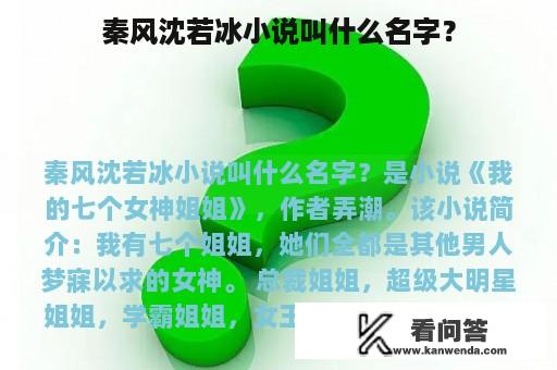 秦风沈若冰小说叫什么名字？