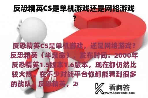 反恐精英CS是单机游戏还是网络游戏？