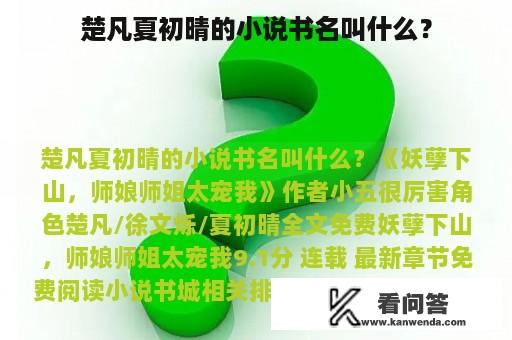 楚凡夏初晴的小说书名叫什么？