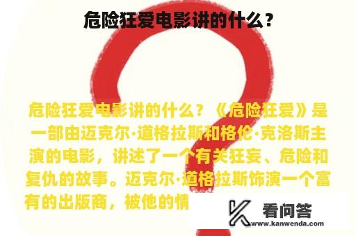 危险狂爱电影讲的什么？