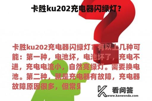 卡胜ku202充电器闪绿灯？