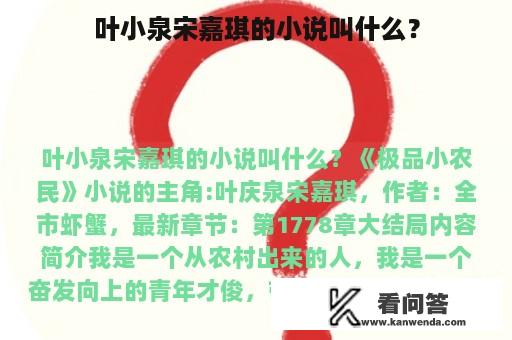 叶小泉宋嘉琪的小说叫什么？