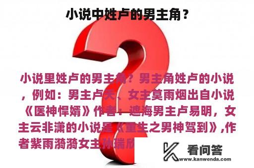 小说中姓卢的男主角？