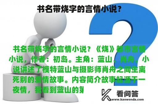 书名带烧字的言情小说？