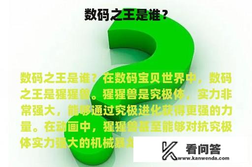 数码之王是谁？