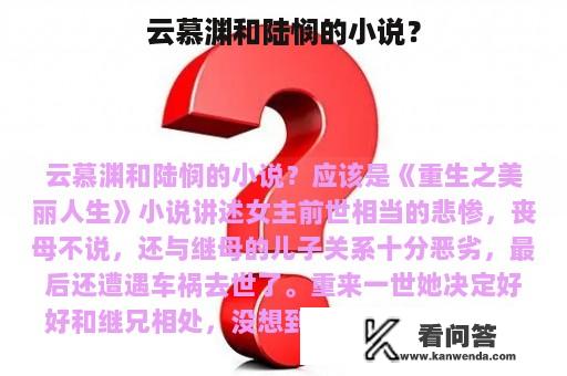 云慕渊和陆悯的小说？