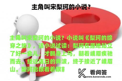 主角叫宋梨珂的小说？