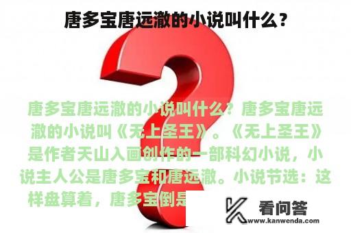 唐多宝唐远澈的小说叫什么？