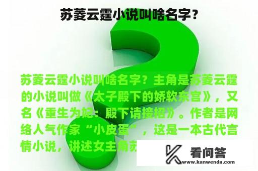 苏菱云霆小说叫啥名字？