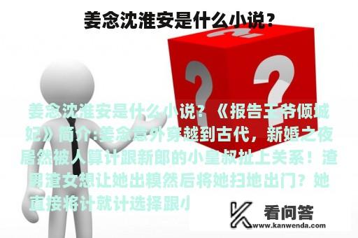 姜念沈淮安是什么小说？