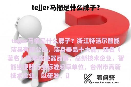 tejjer马桶是什么牌子？