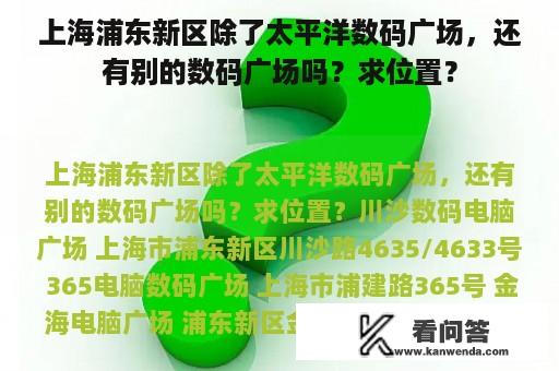 上海浦东新区除了太平洋数码广场，还有别的数码广场吗？求位置？