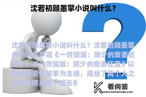 沈若初顾墨擎小说叫什么？