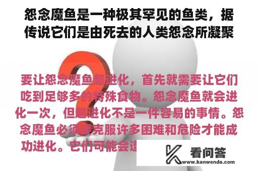 怨念魔鱼是一种极其罕见的鱼类，据传说它们是由死去的人类怨念所凝聚而成的。这种鱼类凶猛而危险，它们能通过释放怨气来攻击他人。但如果能够成功超进化，这种鱼类将会变得更加强大。