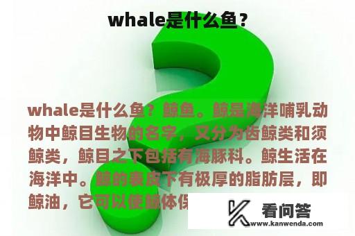 whale是什么鱼？