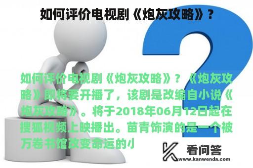 如何评价电视剧《炮灰攻略》？