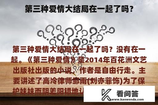 第三种爱情大结局在一起了吗？