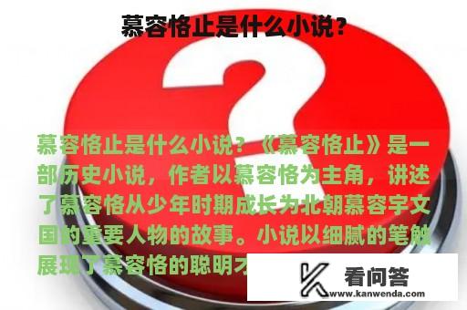 慕容恪止是什么小说？