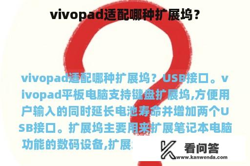 vivopad适配哪种扩展坞？