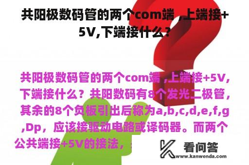 共阳极数码管的两个com端 ,上端接+5V,下端接什么？