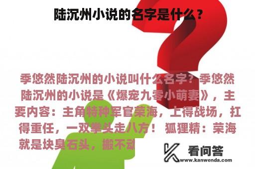 陆沉州小说的名字是什么？