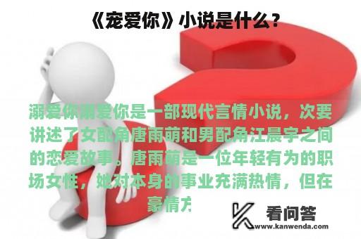 《宠爱你》小说是什么？