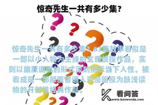 惊奇先生一共有多少集？