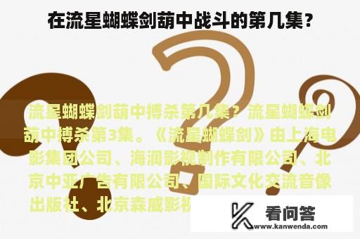 在流星蝴蝶剑葫中战斗的第几集？