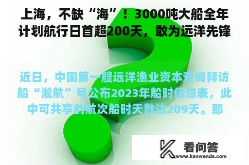 上海，不缺“海”！3000吨大船全年计划航行日首超200天，敢为远洋先锋