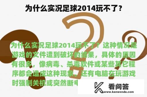 为什么实况足球2014玩不了？