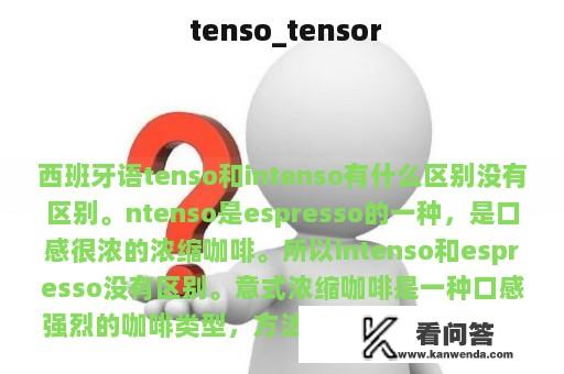  tenso_tensor