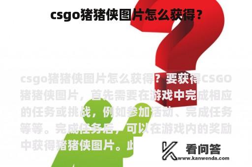 csgo猪猪侠图片怎么获得？