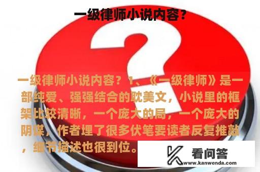 一级律师小说内容？
